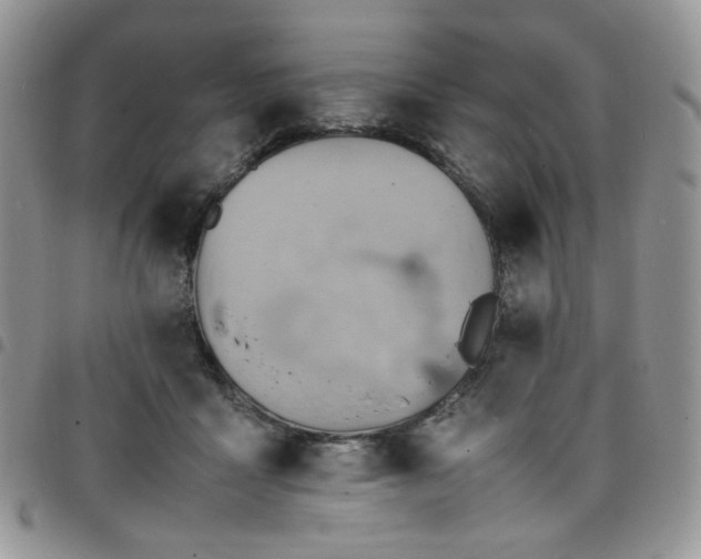 X0000098160411200804241808