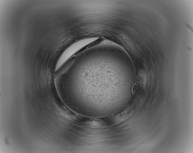 X0000098160412200804241808