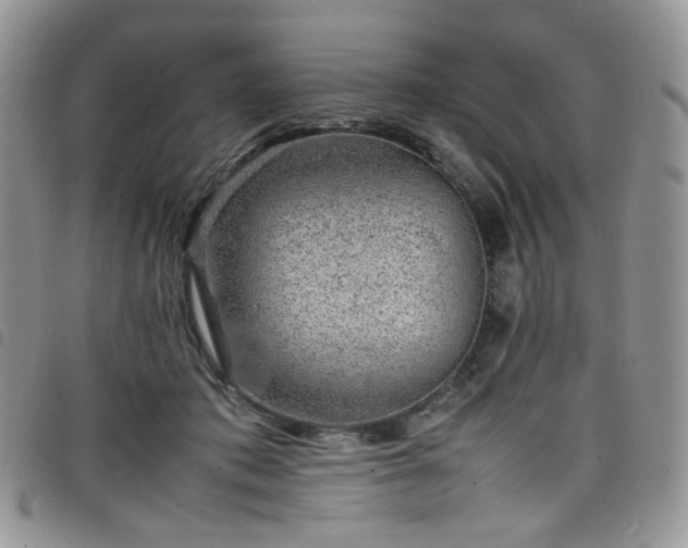X0000098160413200804241808
