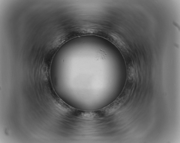 X0000098160414200804241808
