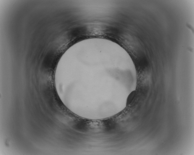 X0000098160415200804241808