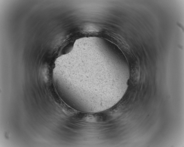 X0000098160416200804241808