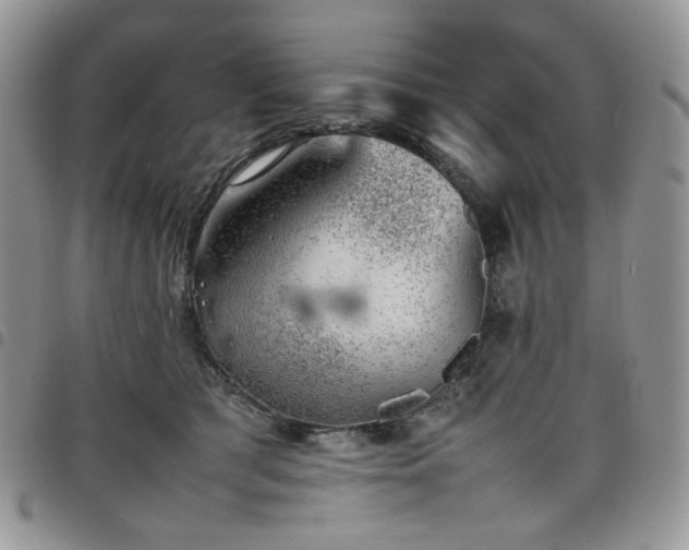 X0000098160417200804241808