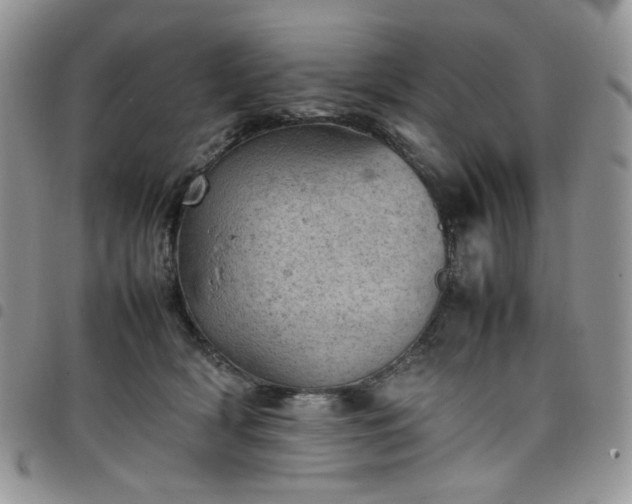 X0000098160418200804241808