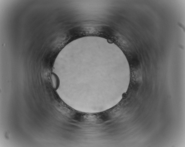 X0000098160419200804241808