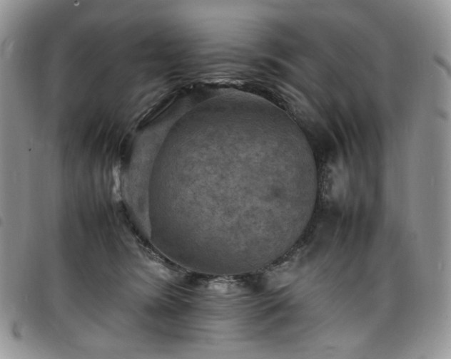 X0000098160420200804241808