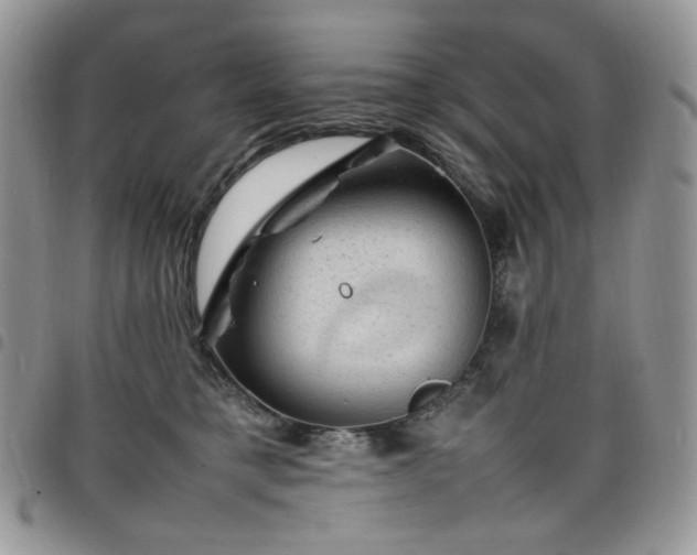 X0000098160421200804241808