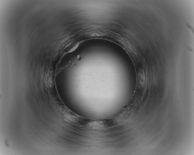 X0000098160422200804241808