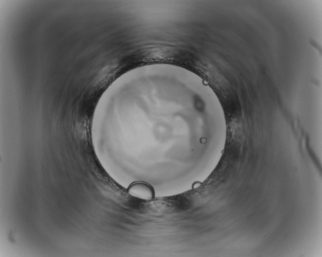 X0000098160423200804241808