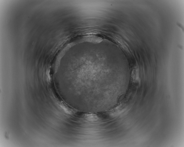 X0000098160424200804241808