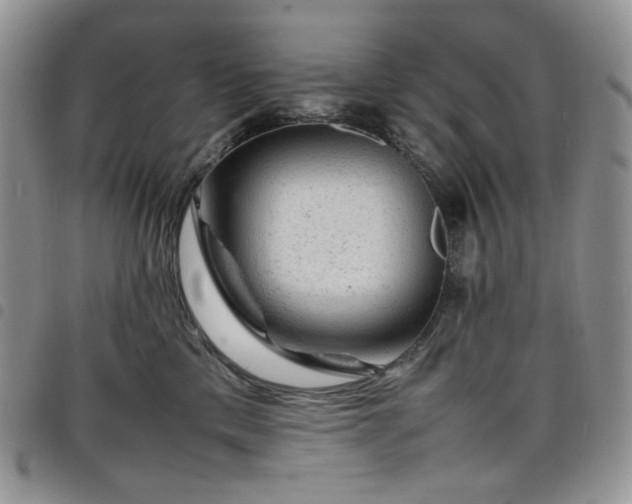 X0000098160425200804241808