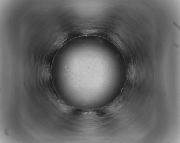 X0000098160426200804241808