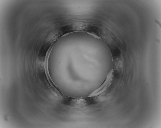 X0000098160427200804241808