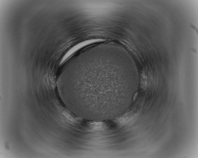 X0000098160428200804241808