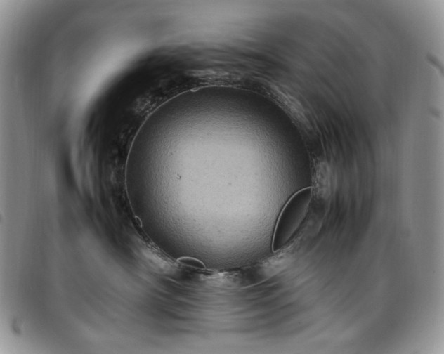 X0000098160430200804241808