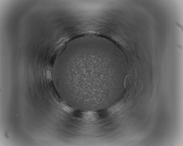 X0000098160432200804241808