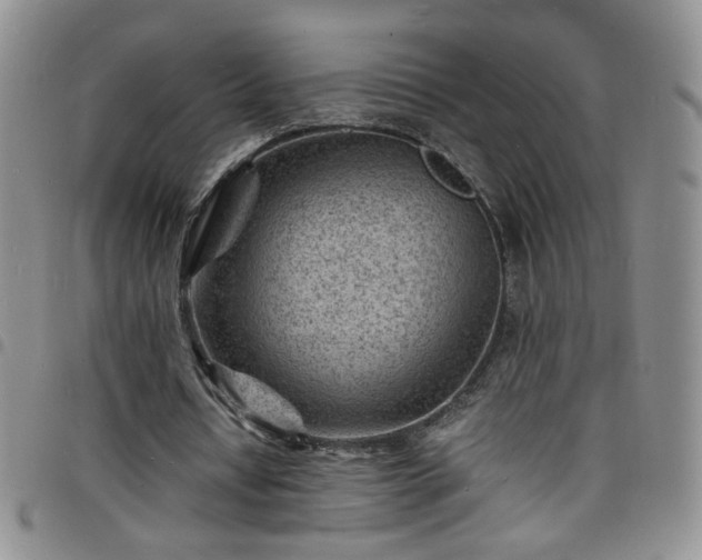 X0000098160434200804241807