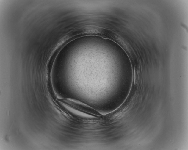 X0000098160435200804241807