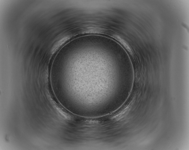 X0000098160437200804241807