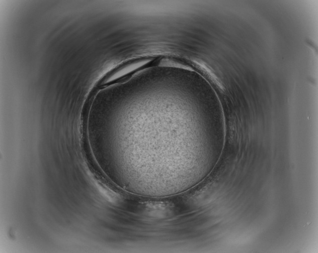 X0000098160439200804241807