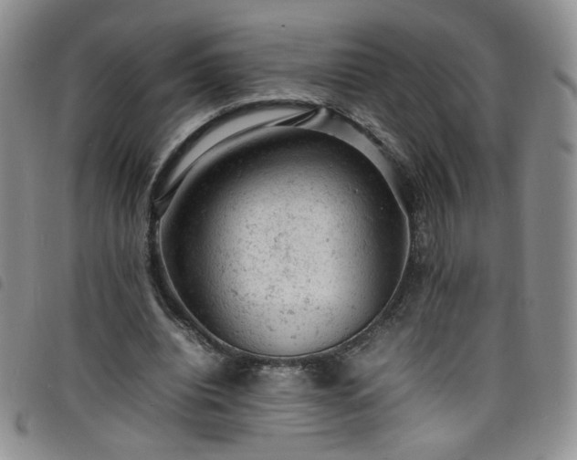 X0000098160440200804241807