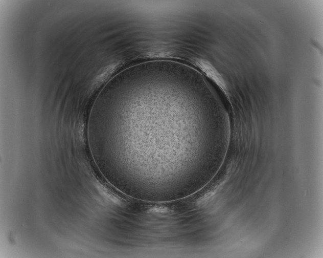X0000098160441200804241807