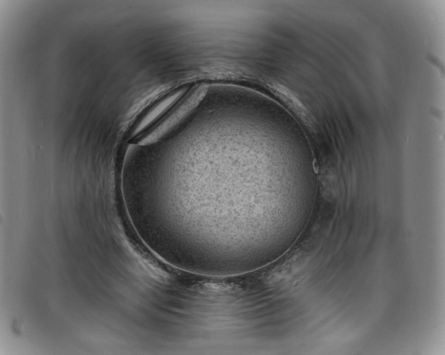 X0000098160442200804241807