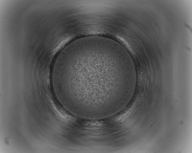 X0000098160443200804241807