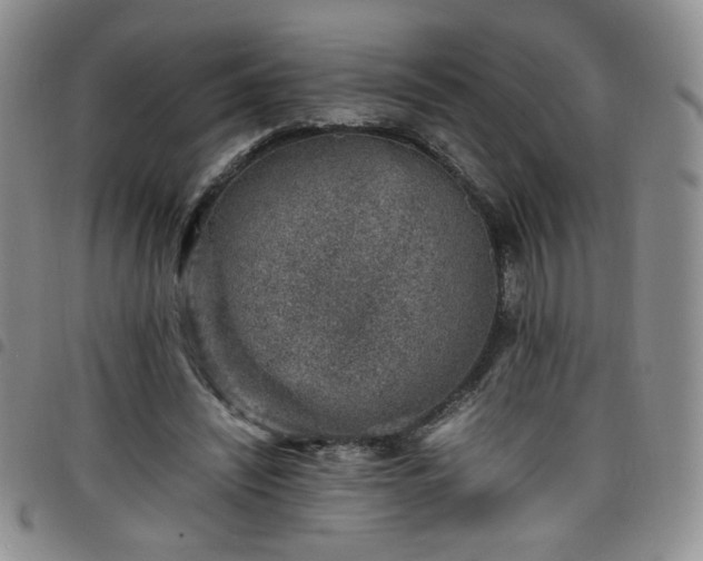 X0000098160444200804241807