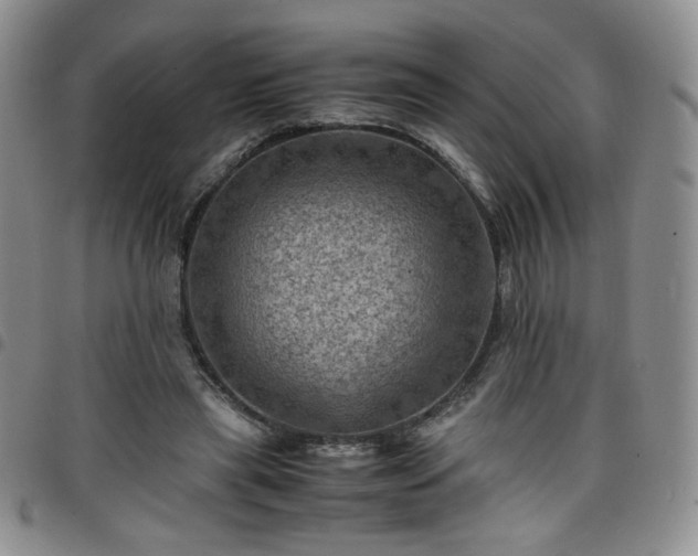X0000098160445200804241807
