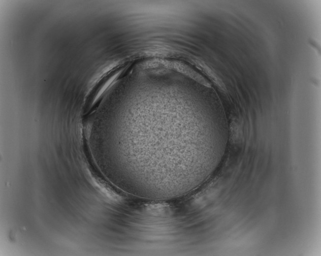 X0000098160446200804241807