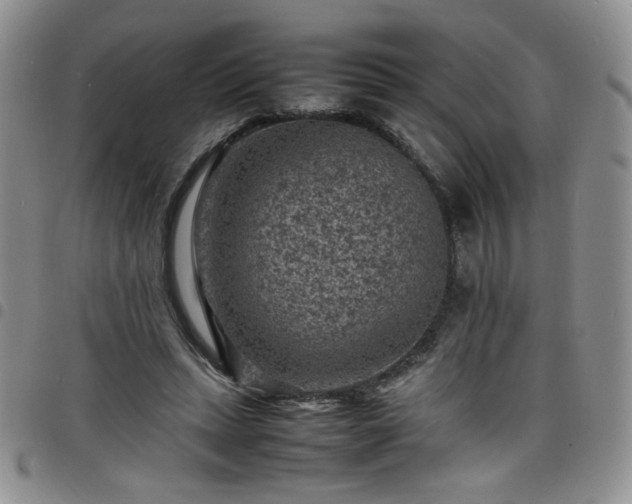 X0000098160447200804241807