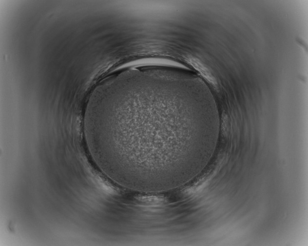X0000098160449200804241807