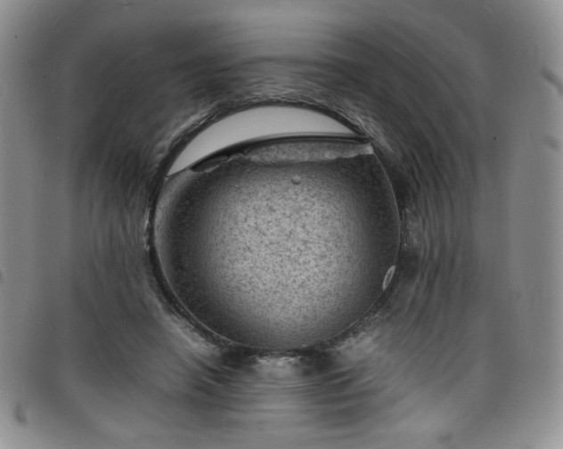 X0000098160450200804241807