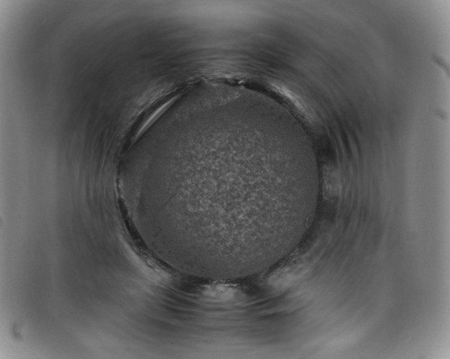 X0000098160451200804241807