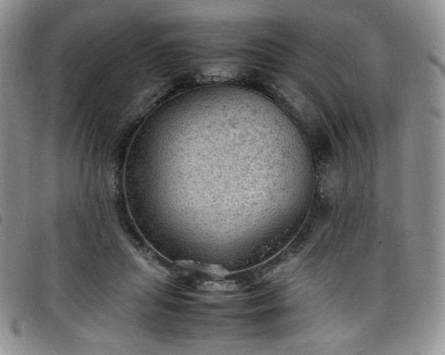 X0000098160455200804241807