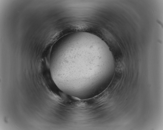 X0000098160456200804241807