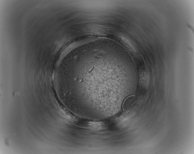 X0000098160457200804241807