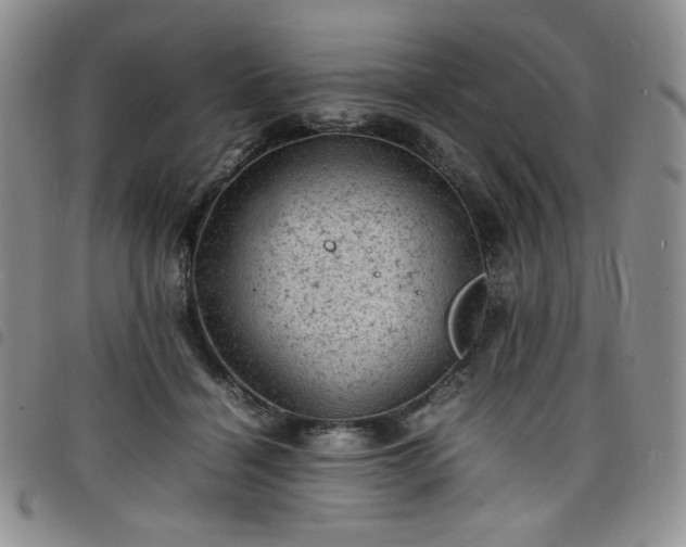 X0000098160460200804241807