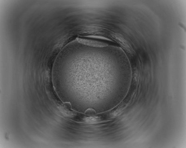 X0000098160461200804241808