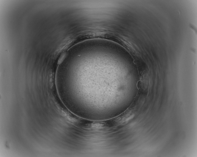 X0000098160462200804241808