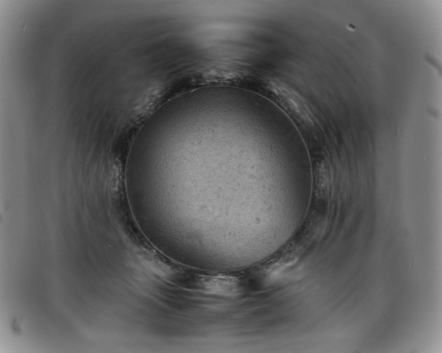 X0000098160463200804241808