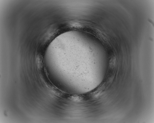 X0000098160464200804241808