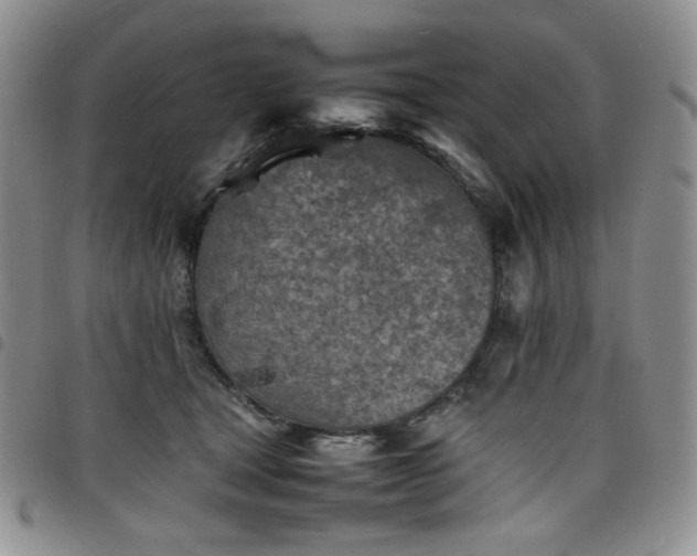 X0000098160465200804241808