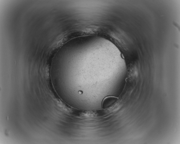 X0000098160466200804241808