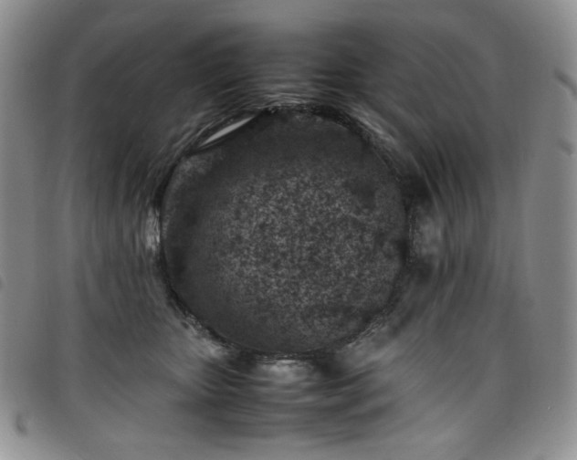 X0000098160467200804241808