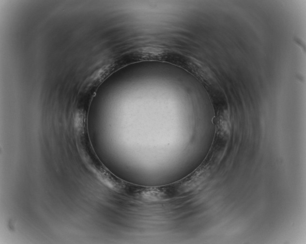 X0000098160468200804241808