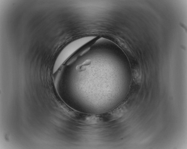 X0000098160470200804241808