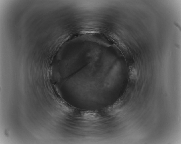 X0000098160471200804241808