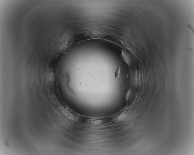 X0000098160472200804241808